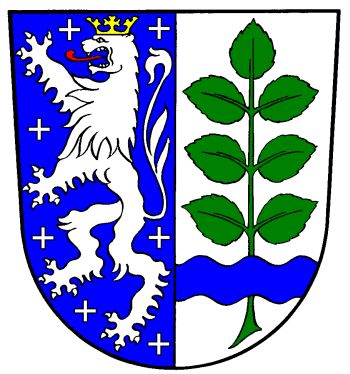 Wappen von Niedersalbach / Arms of Niedersalbach
