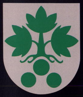Arms of Skurup
