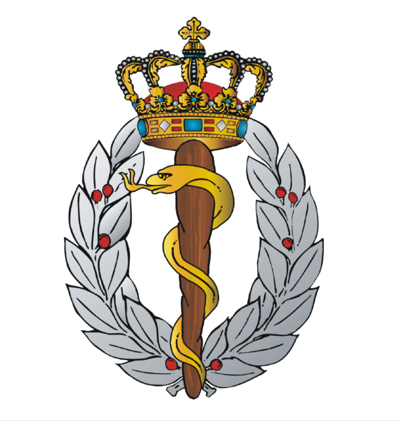 File:Defence Medical Command, Denmark.png