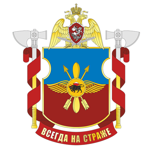 File:Separate Aviation Squadron Engels, National Guard of the Russian Federation.gif