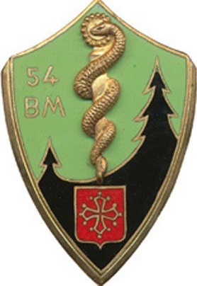 File:54th Medical Battalion, French Army.jpg