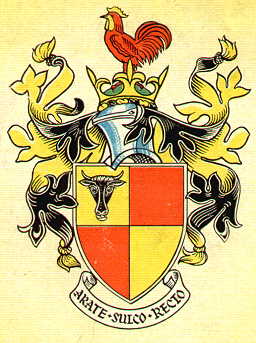 Arms (crest) of Rochford RDC