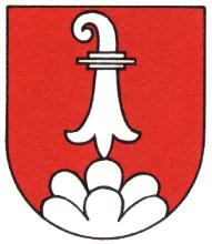 Arms of Delémont