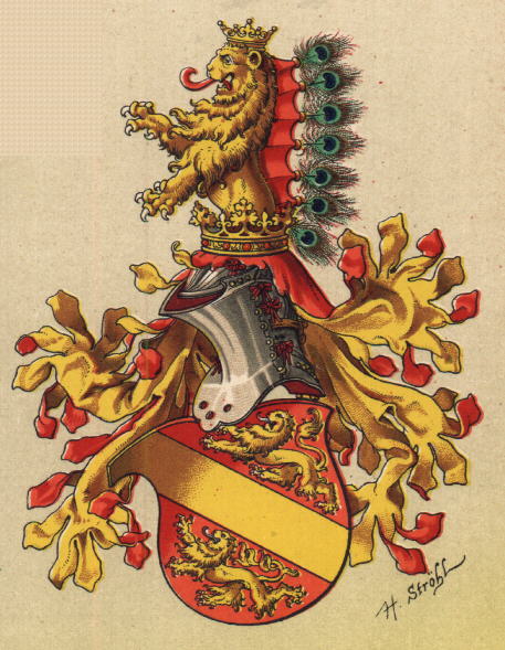 Arms of Principality of Kyburg