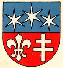 Arms (crest) of Ergisch
