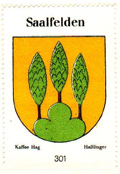 Wappen von Saalfelden/Coat of arms (crest) of Saalfelden
