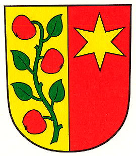 Wappen von Affoltern/Arms of Affoltern