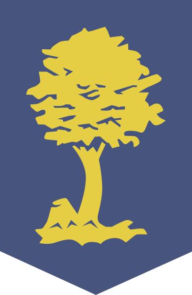 File:School and Training Command, Netherlands Army.png