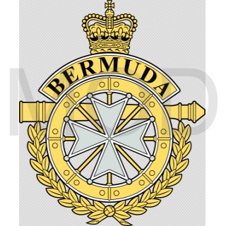 File:The Royal Bermuda Regiment, British Army.jpg