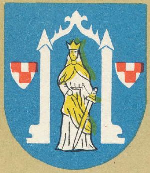 Coat of arms (crest) of Działdowo