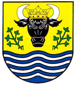 Wappen von Bad Sülze/Arms of Bad Sülze