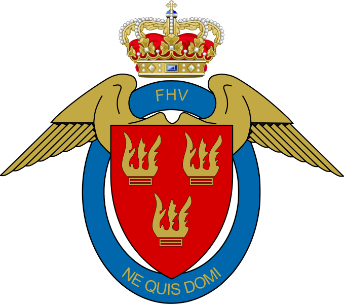 File:Air Force Home Guard.png