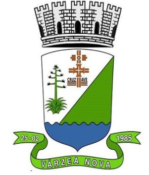Brasão de Várzea Nova/Arms (crest) of Várzea Nova