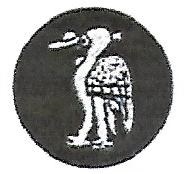 File:35th Infantry Division, Pakistan Army.jpg