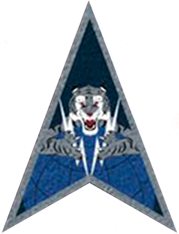 Arms of Space Delta 5, US Space Force