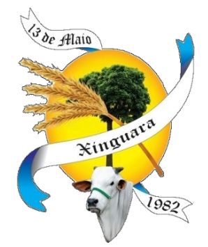 Brasão de Xinguara/Arms (crest) of Xinguara