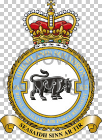 Coat of arms (crest) of the No 2622 (Highland) Squadron, Royal Auxiliary Air Force Regiment
