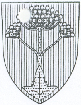 Arms of YMCA-Scouts Troms Circle