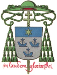 Arms of João Resende Costa