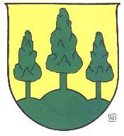 Wappen von Saalfelden / Arms of Saalfelden