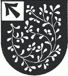 Wappen von Strallegg