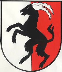 Wappen von Mayrhofen / Arms of Mayrhofen