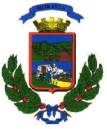 Coat of arms (crest) of Moravia