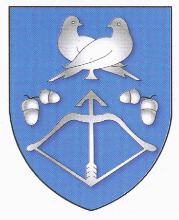 Arms (crest) of Drahichyn
