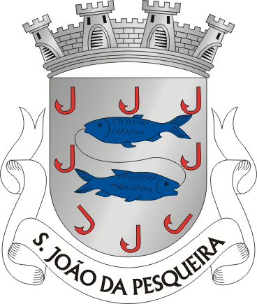 Brasão de São João da Pesqueira (city)