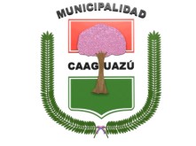 Arms (crest) of Caaguazú