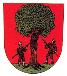 Arms of Rokytnice v Orlických horách