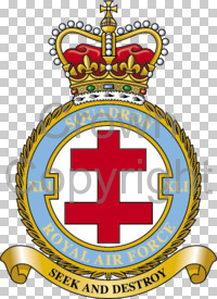 Coat of arms (crest) of the No 41 Squadron, Royal Air Force