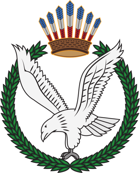 Arms (crest) of Guyana Defence Force Air Corps
