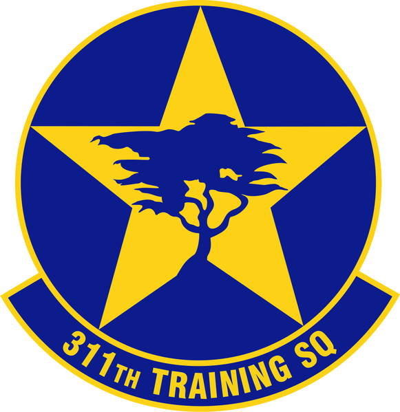 File:311th Training Squadron, US Air Force.png