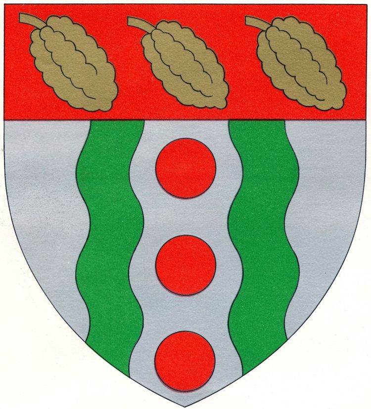 Arms of Oyem