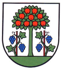Wappen von Magden / Arms of Magden
