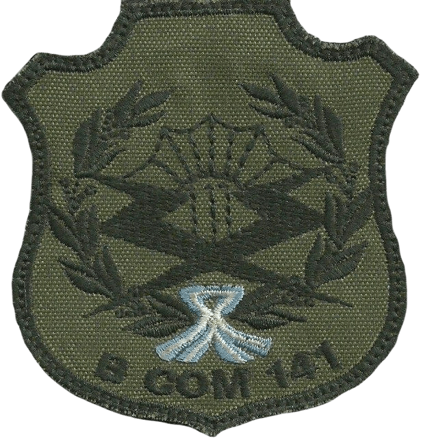 Coat of arms (crest) of the Signal Battalion 141, Argentine Army