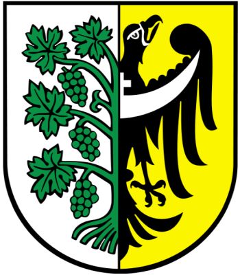 Arms of Środa Śląska