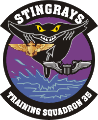 File:VT-35 Stingrays, US Navy.png