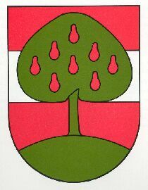 Wappen von Dornbirn / Arms of Dornbirn