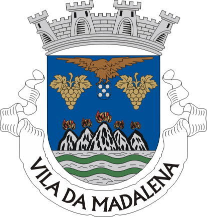 Brasão de Madalena (city)