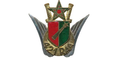 File:421st Anti-Aircraft Artillery Regiment, French Army.jpg