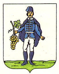 Arms of Vynohradiv