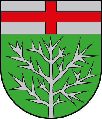 Wappen von Haag (Morbach)