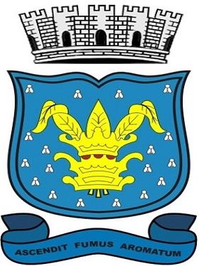 Brasão de Muritiba/Arms (crest) of Muritiba