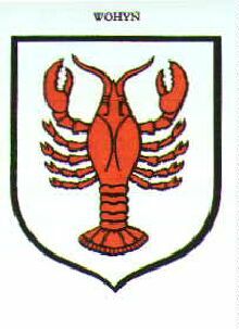 Coat of arms (crest) of Wohyń