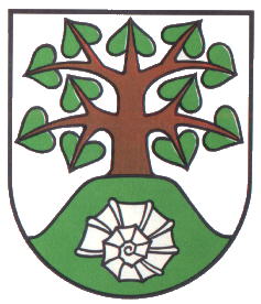 Wappen von Evessen / Arms of Evessen