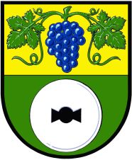 Coat of arms (crest) of Velké Žernoseky