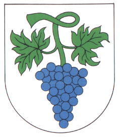 Wappen von Bottenau/Arms (crest) of Bottenau