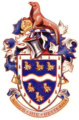 Arms (crest) of Chichester RDC